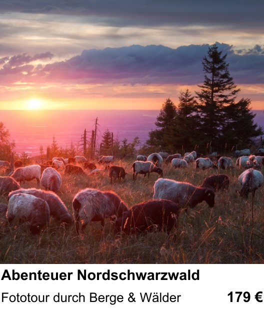 Themenbezogener Fotokurs für Aufnahmen zu Abenteuer Nordschwarzwald: Fototour durch Berge & Wälder