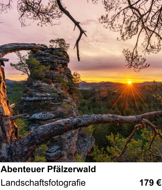 Themenbezogener Fotokurs für Aufnahmen zu Abenteuer Pfälzerwald: Landschaftsfotografie