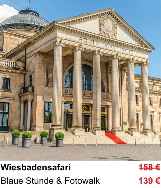 Wiesbadensafari fotografisch erleben
