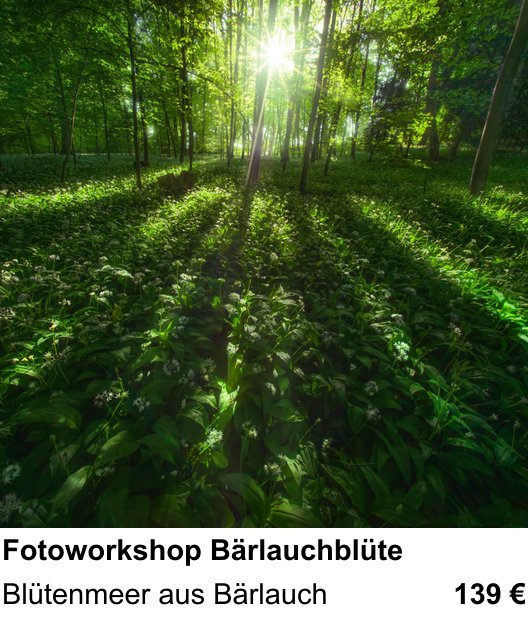 Themenbezogener Fotokurs für Aufnahmen zu Fotoworkshop Bärlauchblüte: Blütenmeer aus Bärlauch