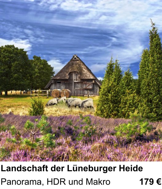 Themenbezogener Fotokurs für Aufnahmen zu Landschaft der Lüneburger Heide: Panorama, HDR und Makro