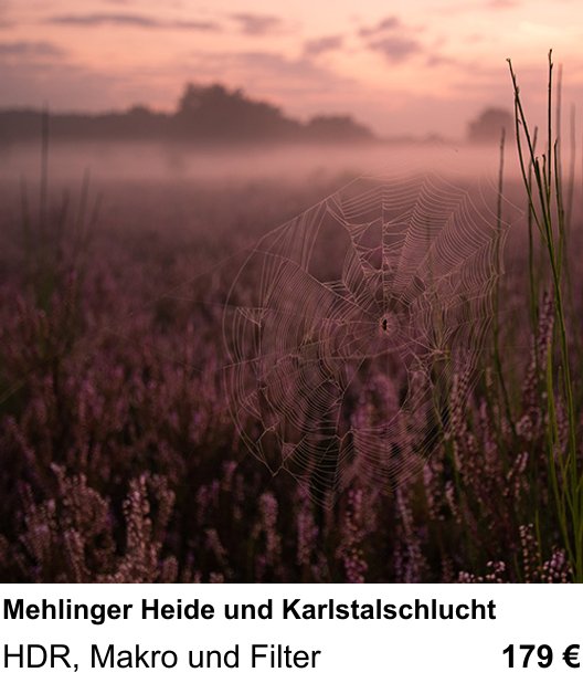 Themenbezogener Fotokurs für Aufnahmen zu Mehlinger Heide und Karlstalschlucht: HDR, Makro und Filter