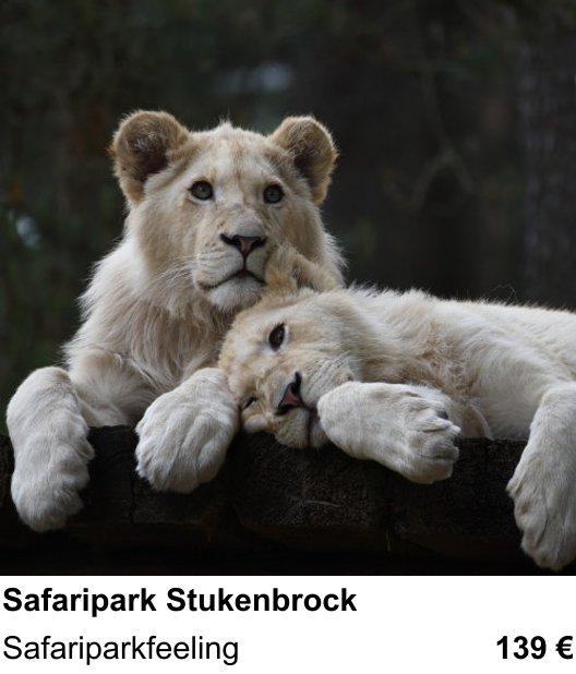 Themenbezogener Fotokurs für Aufnahmen zu Safaripark Stukenbrock: Safariparkfeeling