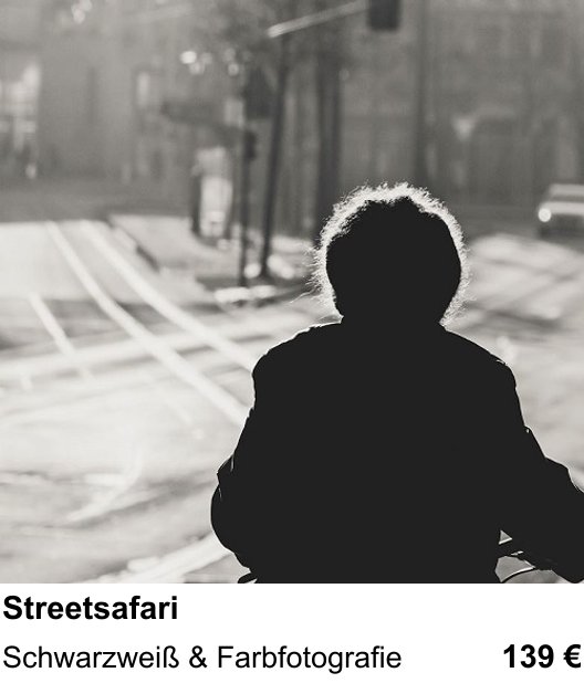 Streetsafari trainieren im Fotokurs in Wiesbaden