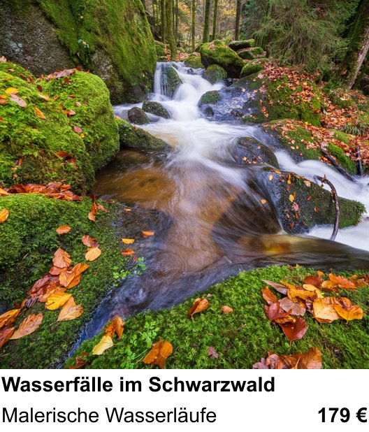 Themenbezogener Fotokurs für Aufnahmen zu Wasserfälle im Schwarzwald: Malerische Wasserläufe