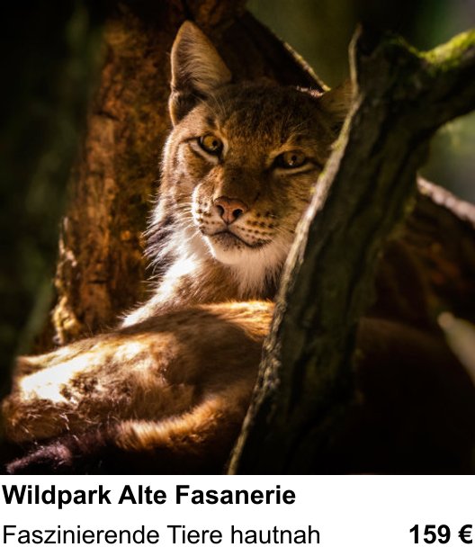 Themenbezogener Fotokurs für Aufnahmen zu Wildpark Alte Fasanerie: Faszinierende Tiere hautnah
