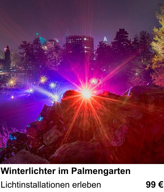 Themenbezogener Fotokurs für Aufnahmen zu Winterlichter im Palmengarten: Lichtinstallationen erleben
